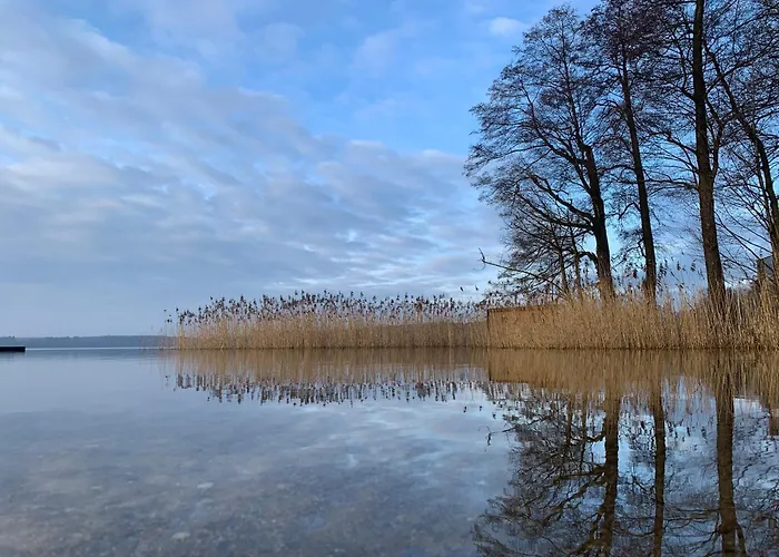 Zielony Domek Drzewoszewo