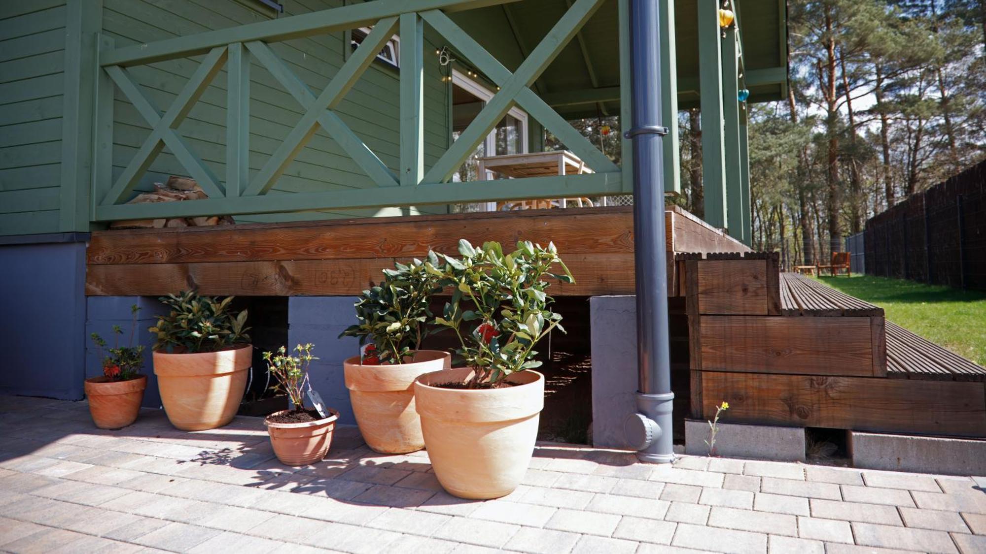 Holiday home Drzewoszewo *